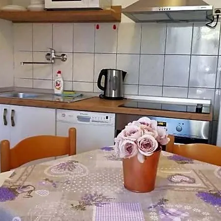 Hotel Rogac 3*